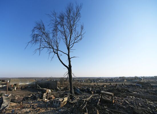 Последствия природных пожаров в Красноярском крае