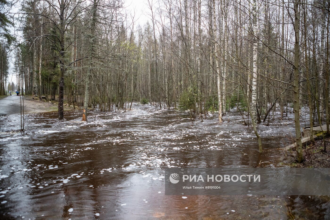 Паводок в Карелии