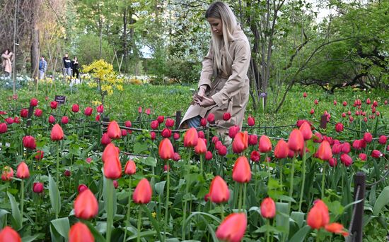 Весенний фестиваль цветов в Ботаническом саду МГУ "Аптекарский огород"