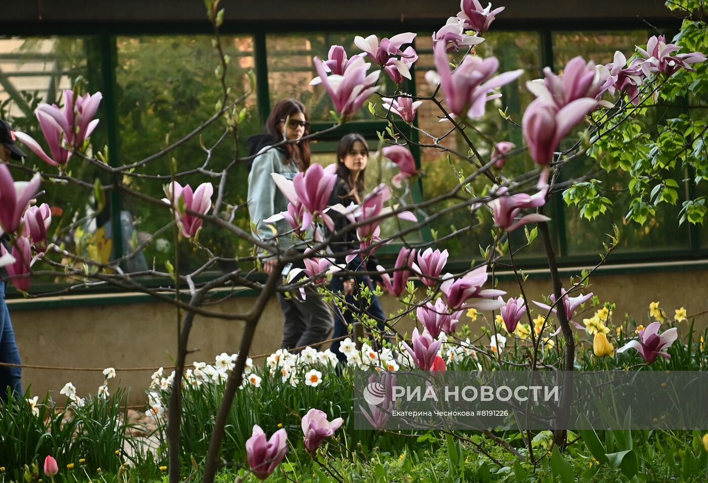 Весенний фестиваль цветов в Ботаническом саду МГУ "Аптекарский огород"