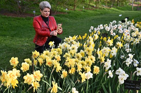 Весенний фестиваль цветов в Ботаническом саду МГУ "Аптекарский огород"