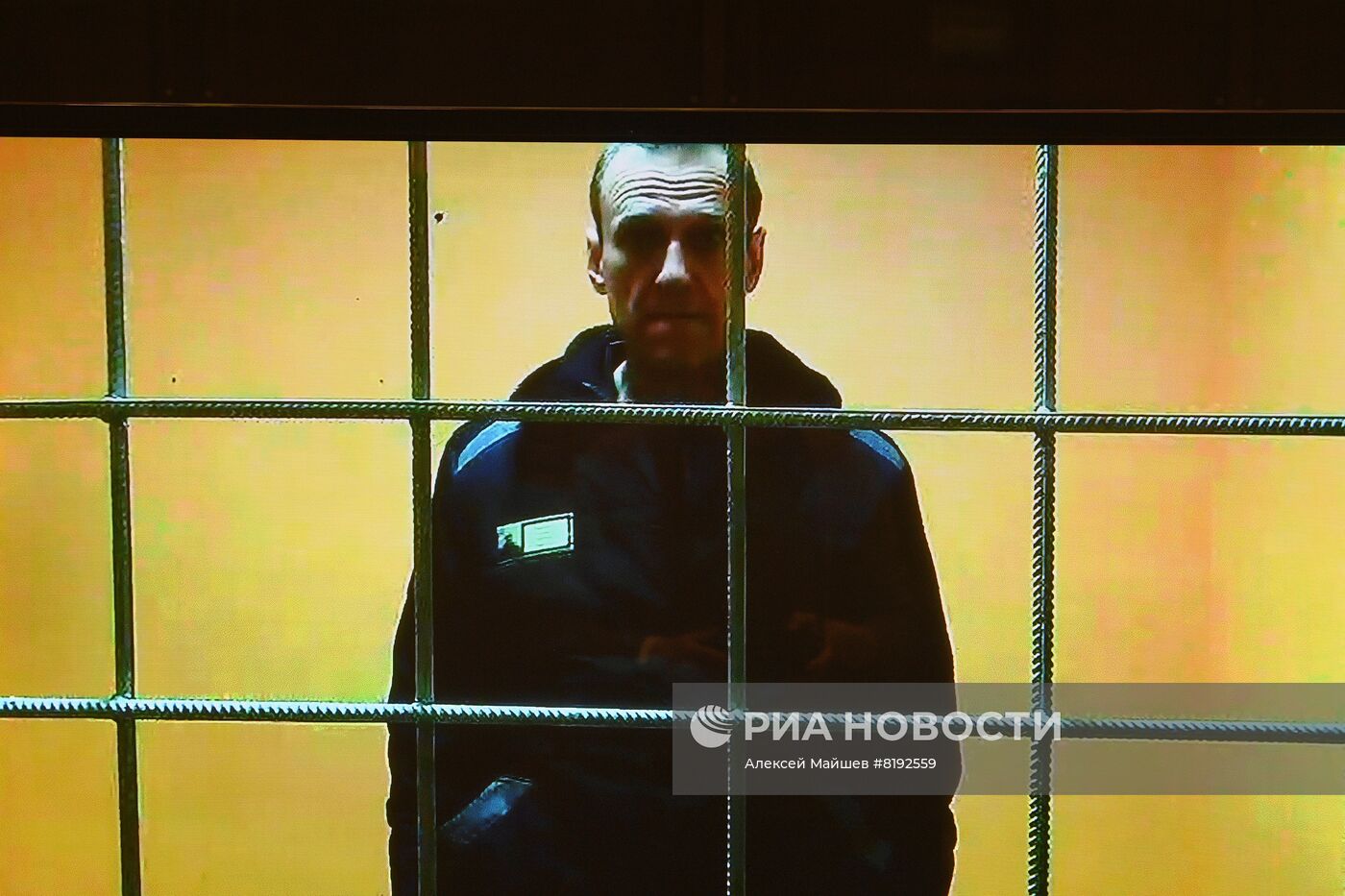 Рассмотрение жалобы защиты на приговор А. Навальному