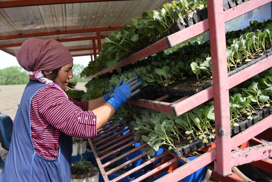 Сельскохозяйственное предприятие в Новосибирской области