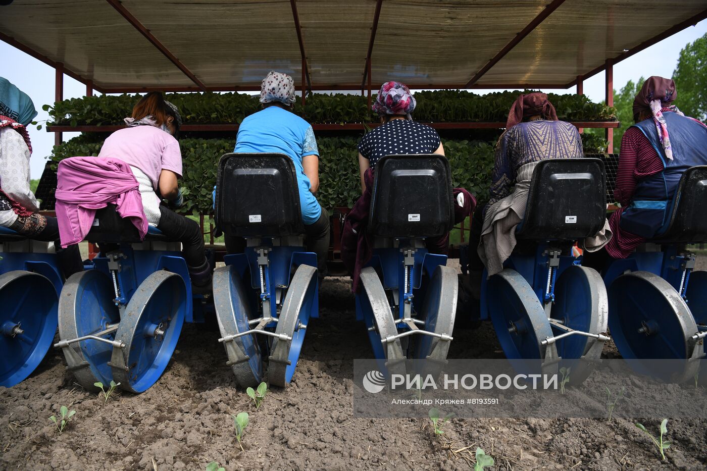 Сельскохозяйственное предприятие в Новосибирской области