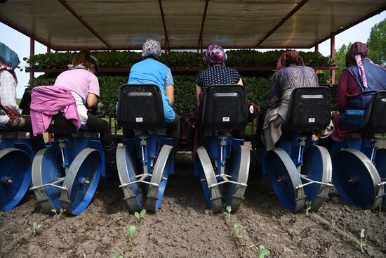 Сельскохозяйственное предприятие в Новосибирской области