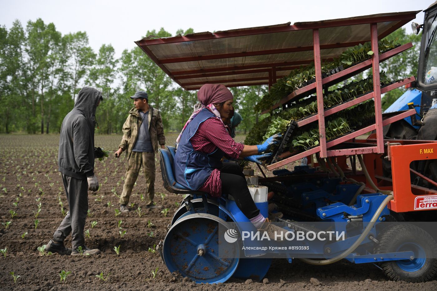Сельскохозяйственное предприятие в Новосибирской области