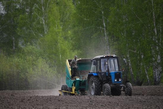 Сельскохозяйственное предприятие в Новосибирской области