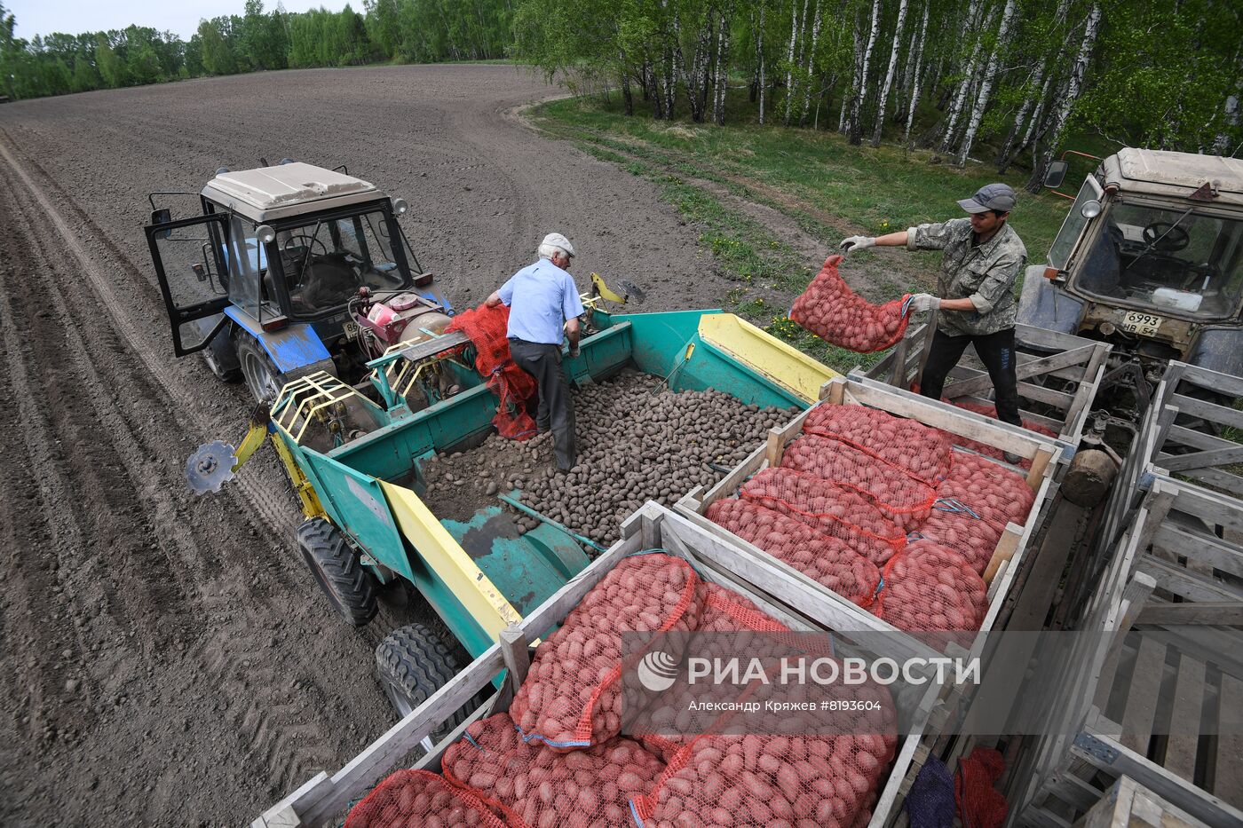 Сельскохозяйственное предприятие в Новосибирской области