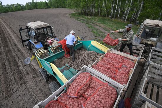 Сельскохозяйственное предприятие в Новосибирской области