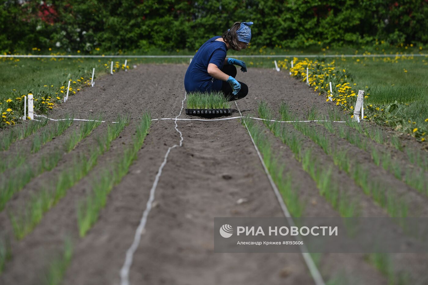 Сельскохозяйственное предприятие в Новосибирской области