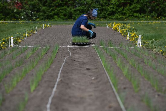 Сельскохозяйственное предприятие в Новосибирской области