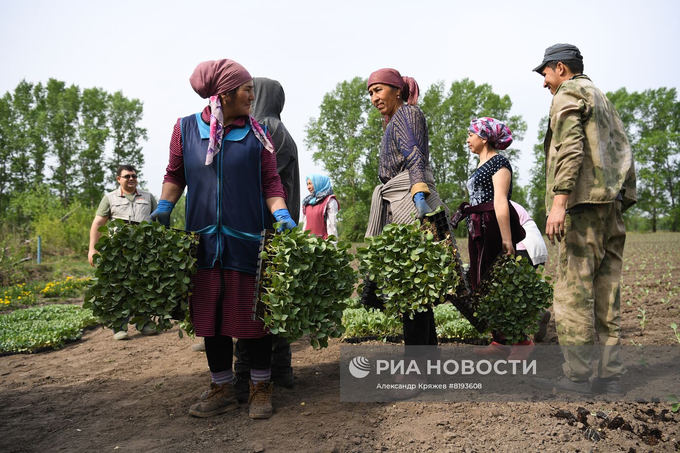 Сельскохозяйственное предприятие в Новосибирской области
