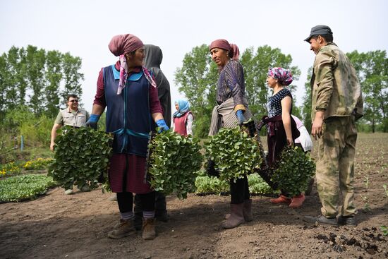 Сельскохозяйственное предприятие в Новосибирской области