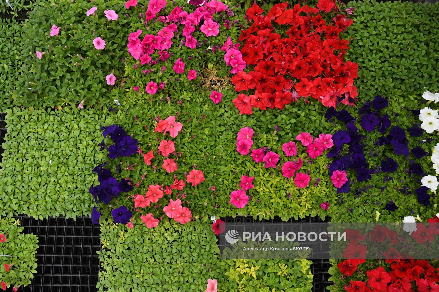 Сельскохозяйственное предприятие в Новосибирской области