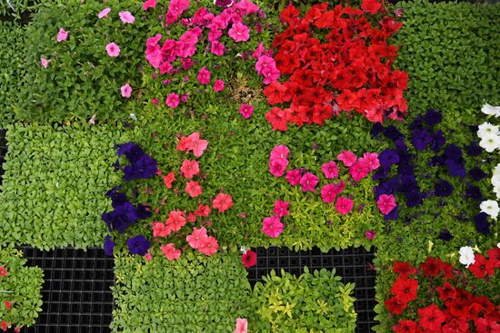 Сельскохозяйственное предприятие в Новосибирской области