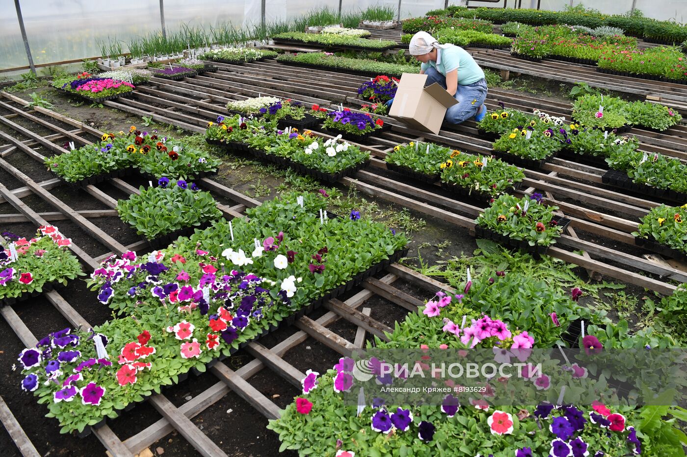 Сельскохозяйственное предприятие в Новосибирской области