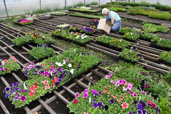 Сельскохозяйственное предприятие в Новосибирской области