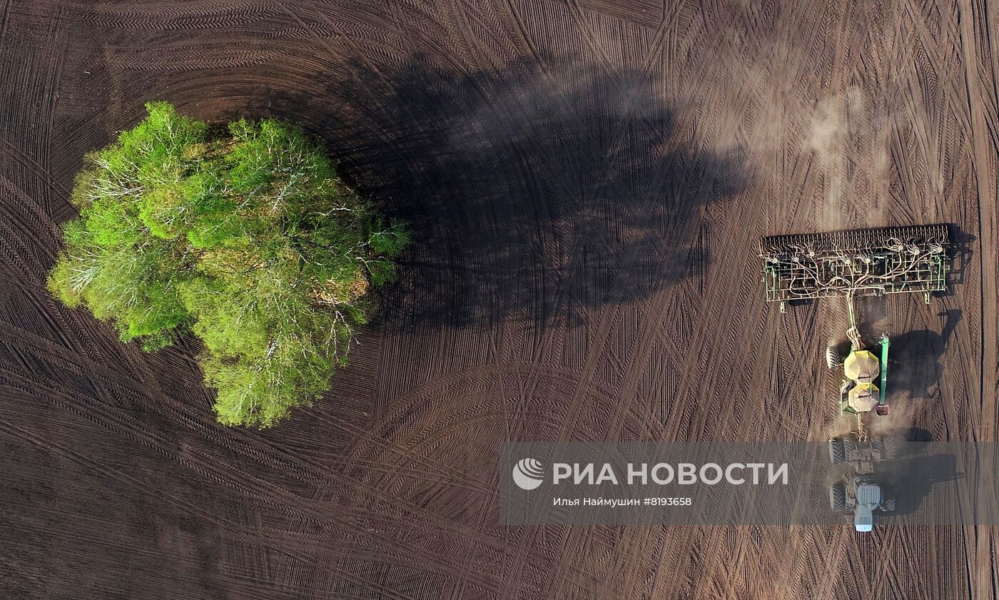 Посевные работы в Красноярском крае