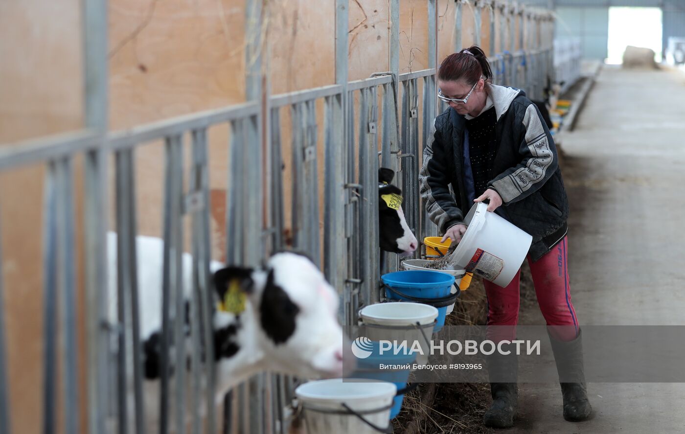 Животноводческая ферма в агро-промышленном холдинге "Рота-агро"