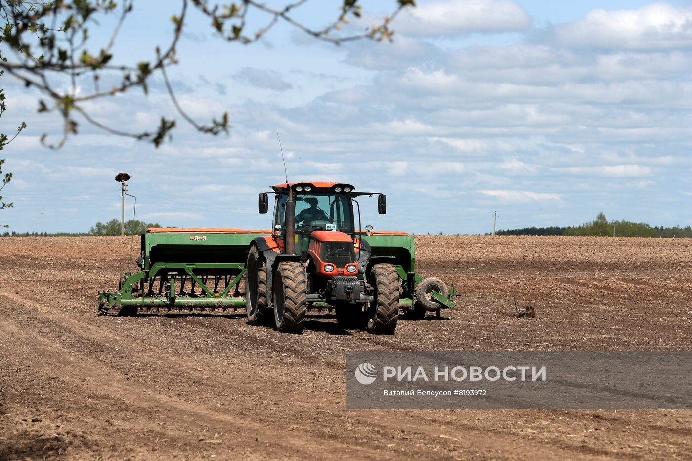 Животноводческая ферма в агро-промышленном холдинге "Рота-агро"