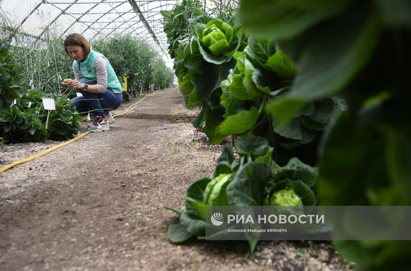 Работа агрохолдинга "Поиск"