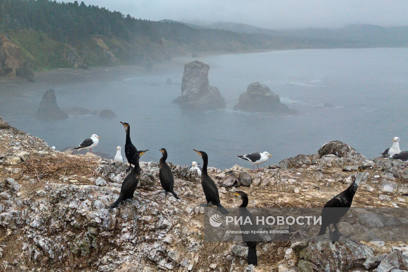 Сахалин