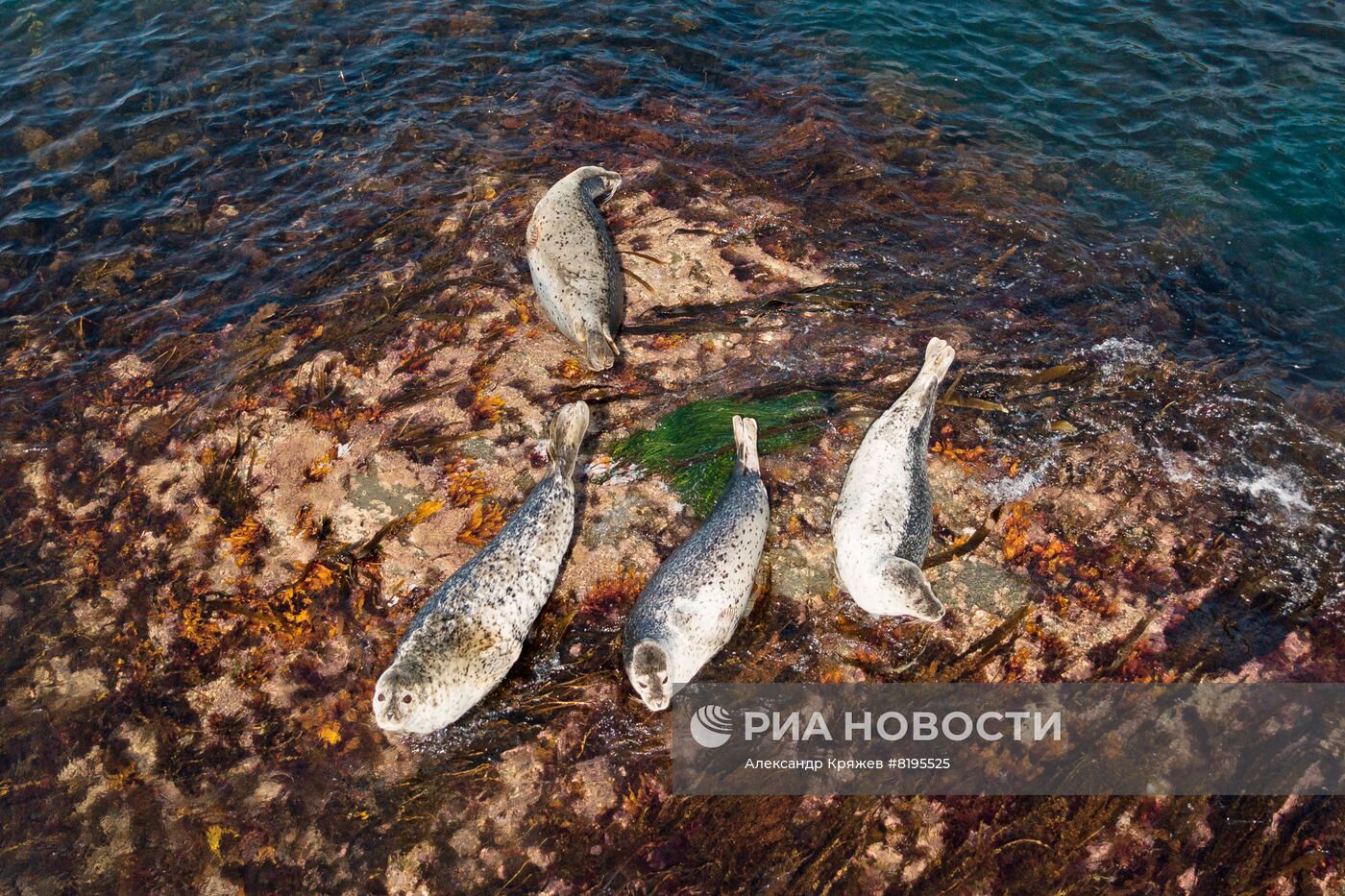 Сахалин