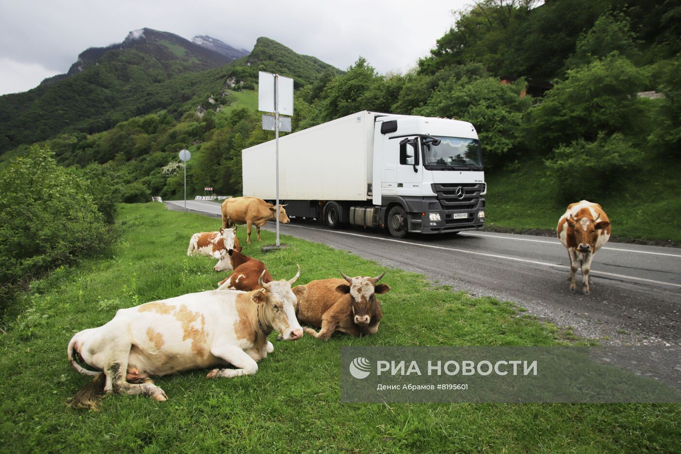 Военно-грузинская дорога