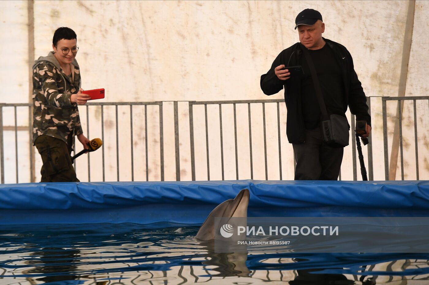 Скадовский дельфинарий "Акварель" в Херсонской области
