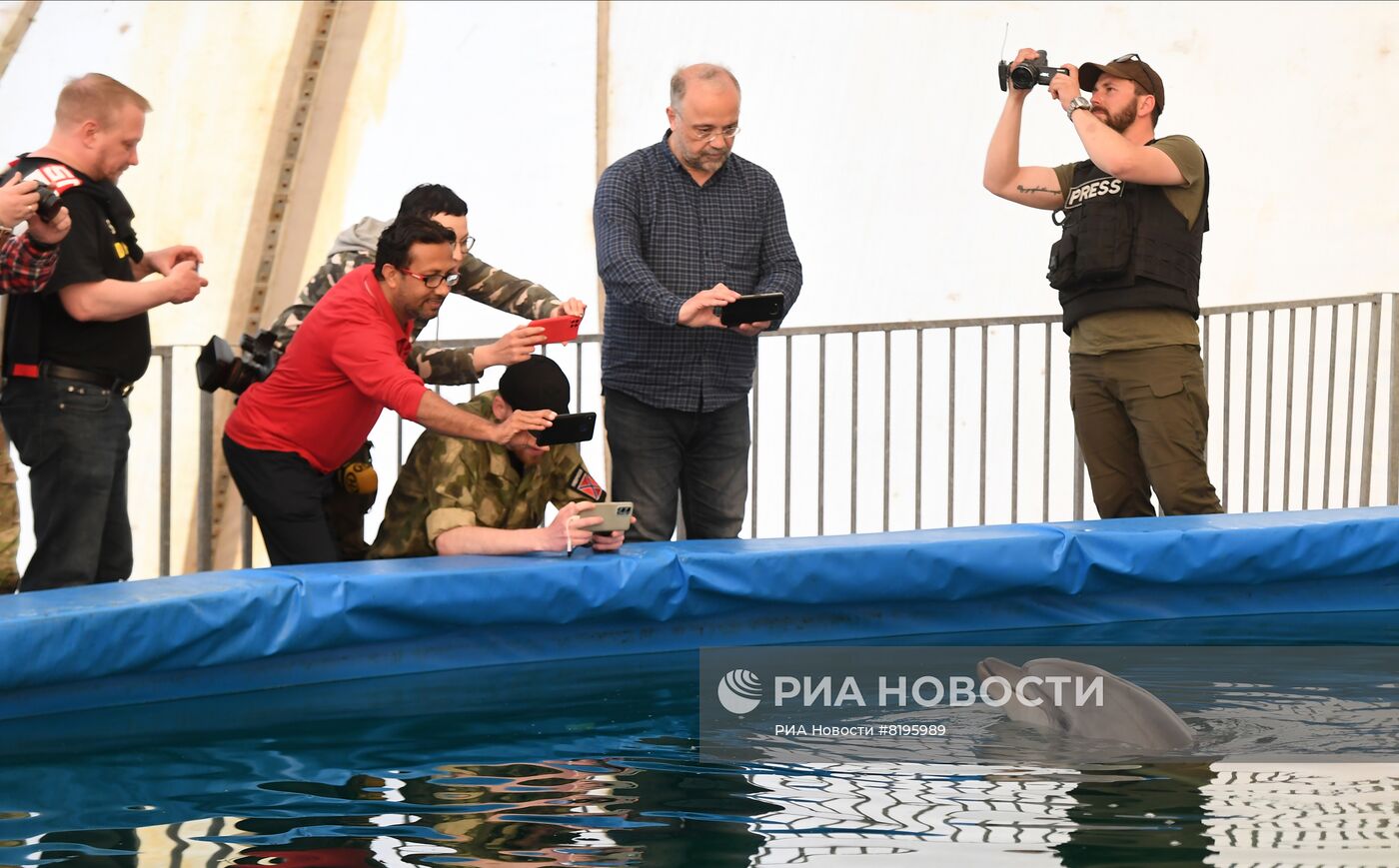 Скадовский дельфинарий "Акварель" в Херсонской области