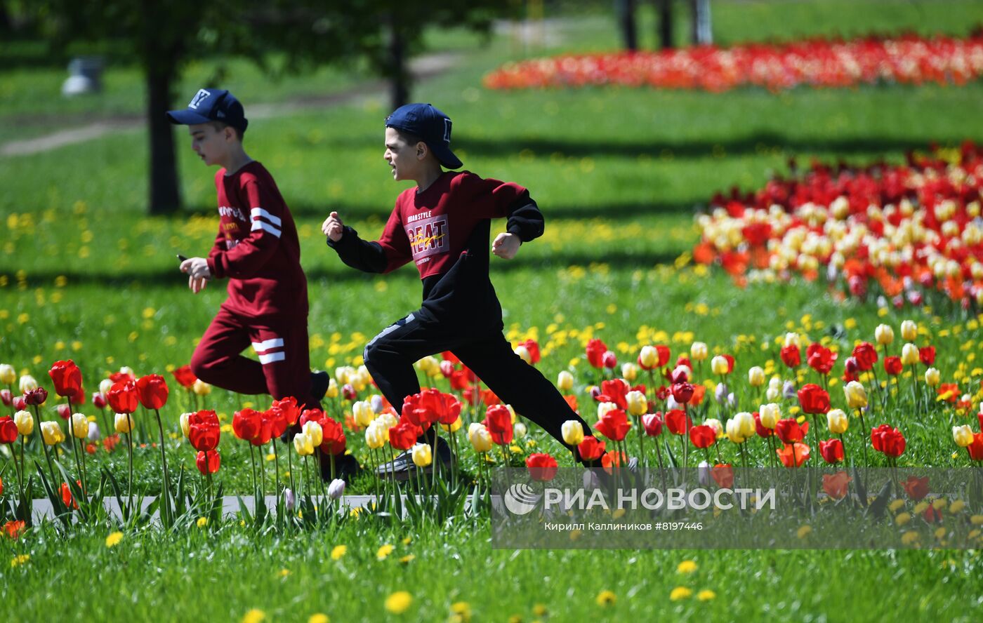 Благоустроенные зоны у воды в парках Москвы