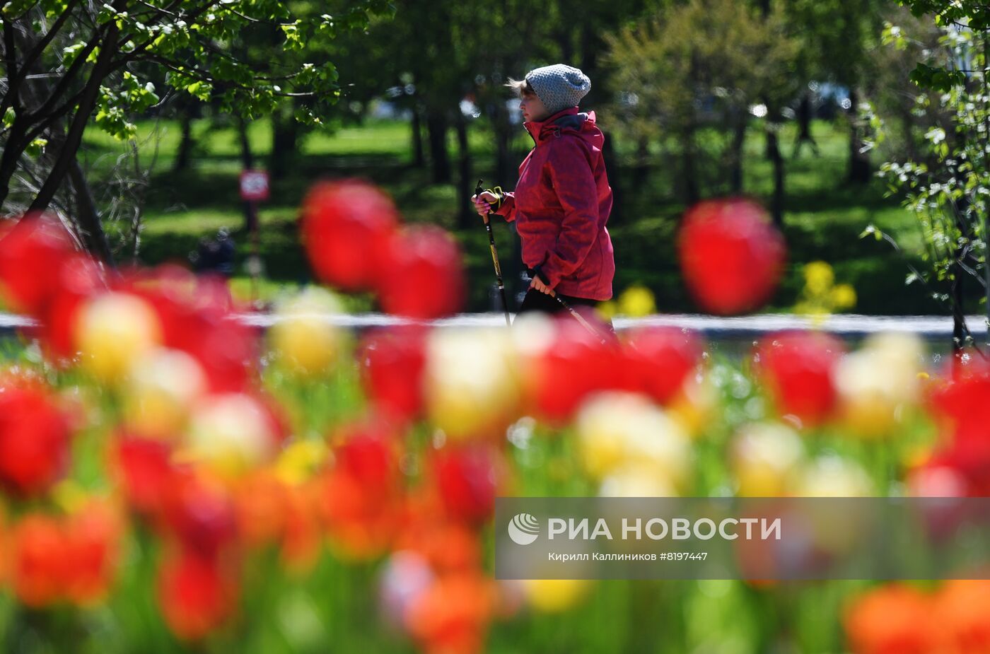 Благоустроенные зоны у воды в парках Москвы