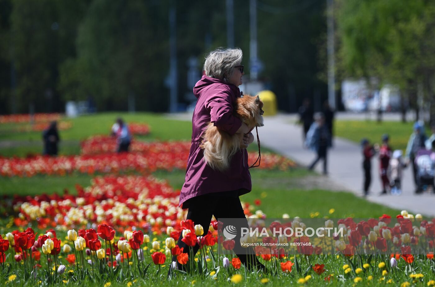 Благоустроенные зоны у воды в парках Москвы