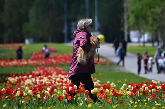 Благоустроенные зоны у воды в парках Москвы