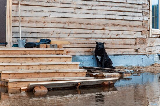 Паводки в Якутии