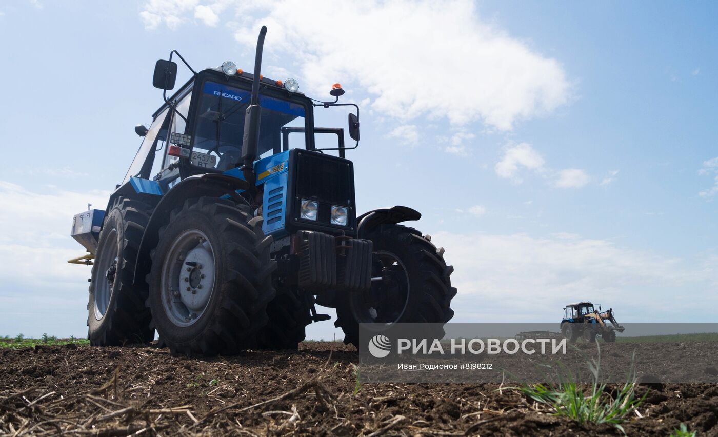 Посевные работы в Херсонской области