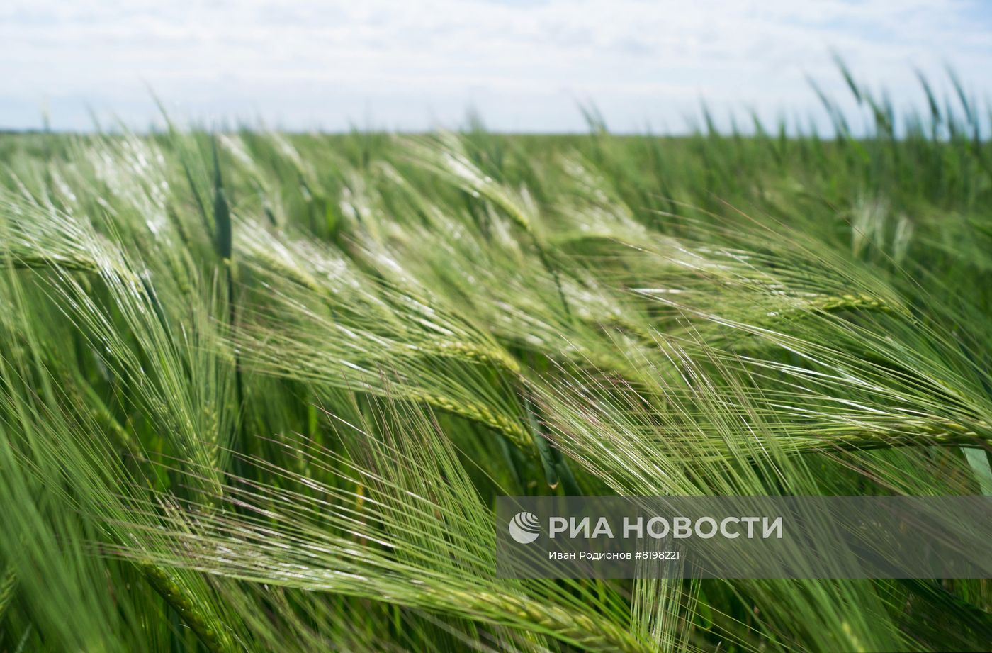 Посевные работы в Херсонской области