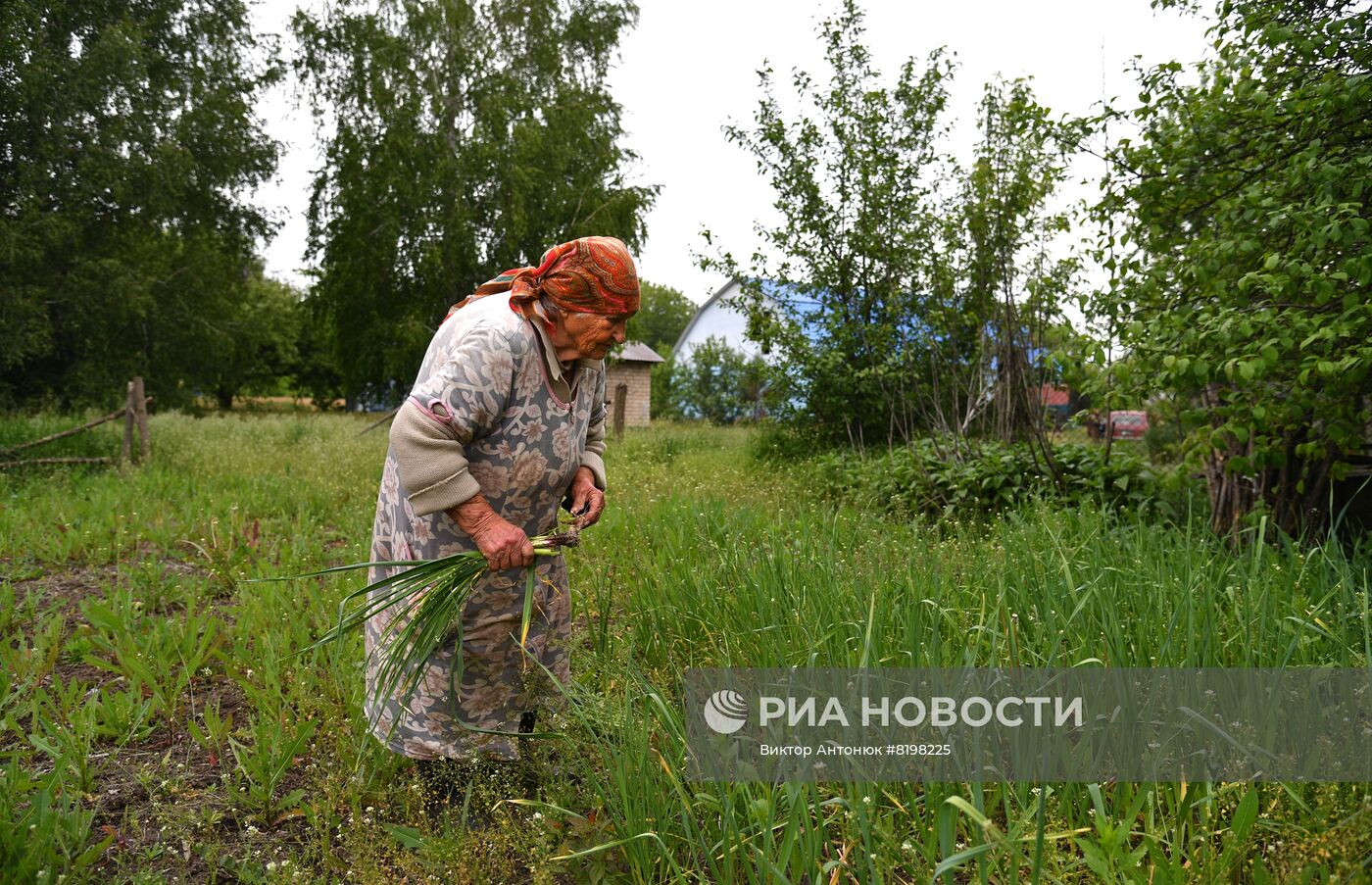 Села на освобожденной территории в Донецкой области