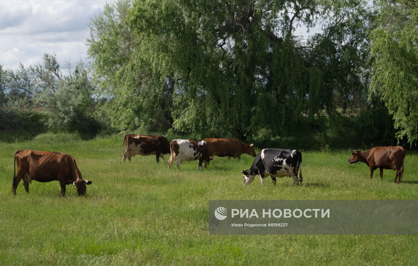 Посевные работы в Херсонской области