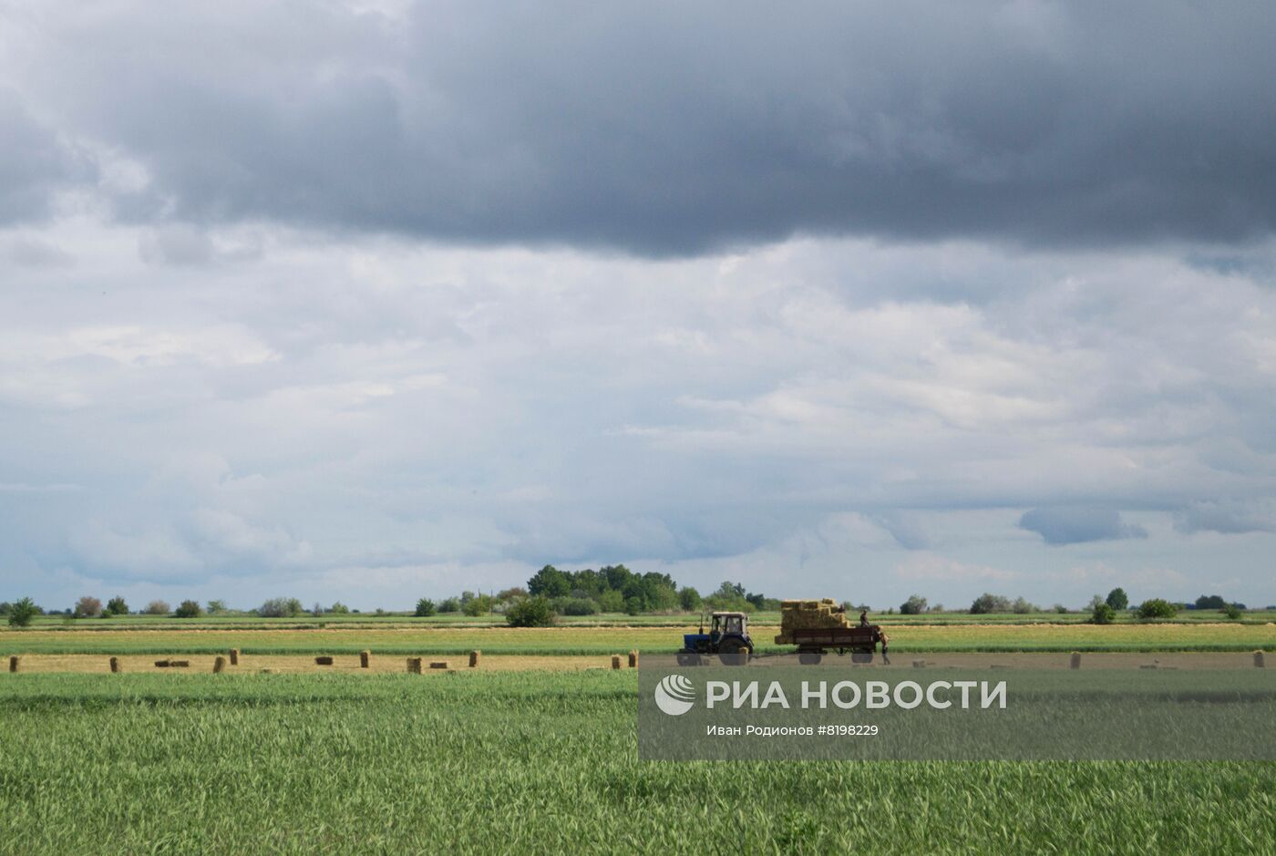 Посевные работы в Херсонской области