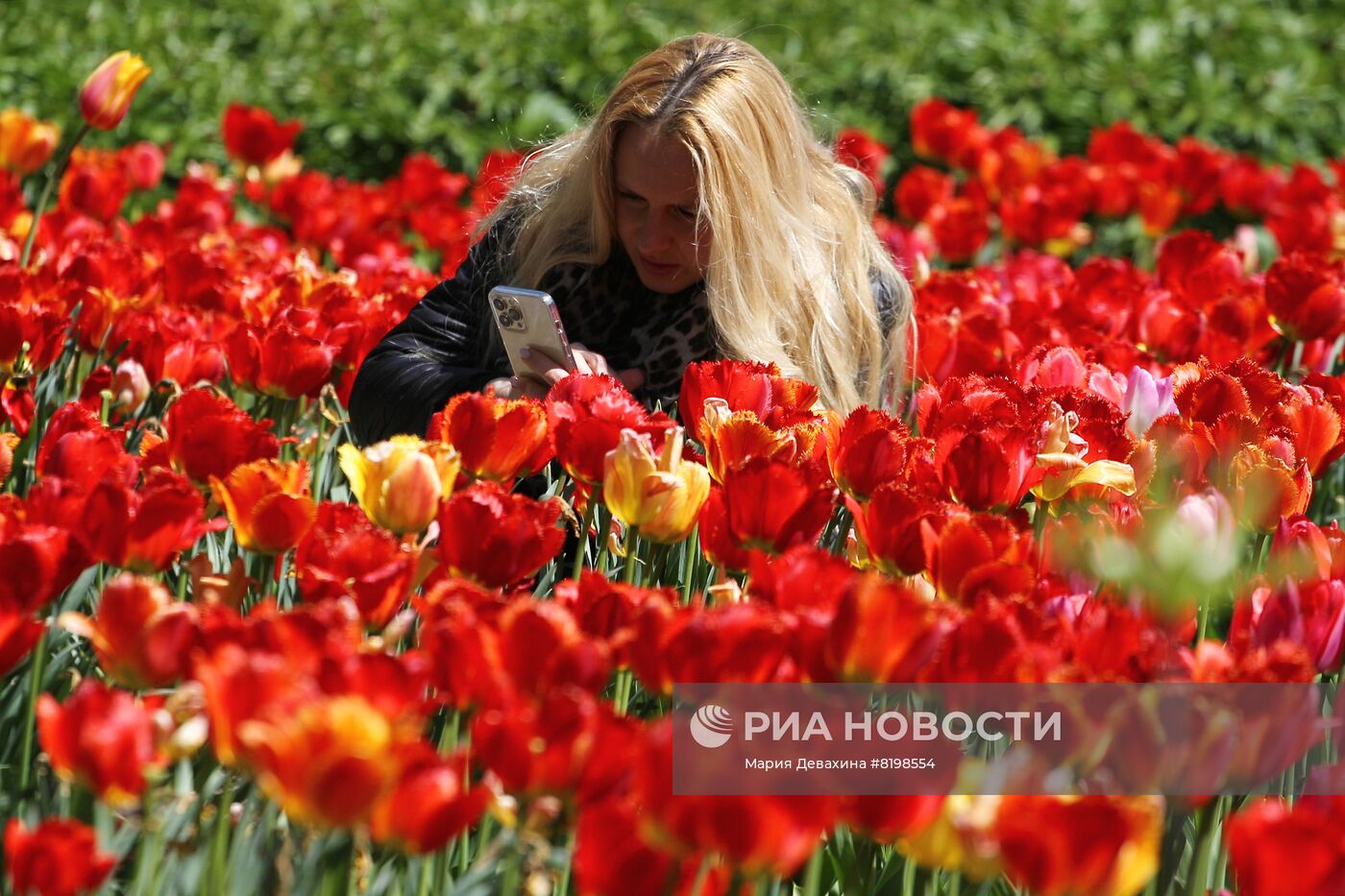 Отдых горожан в Москве