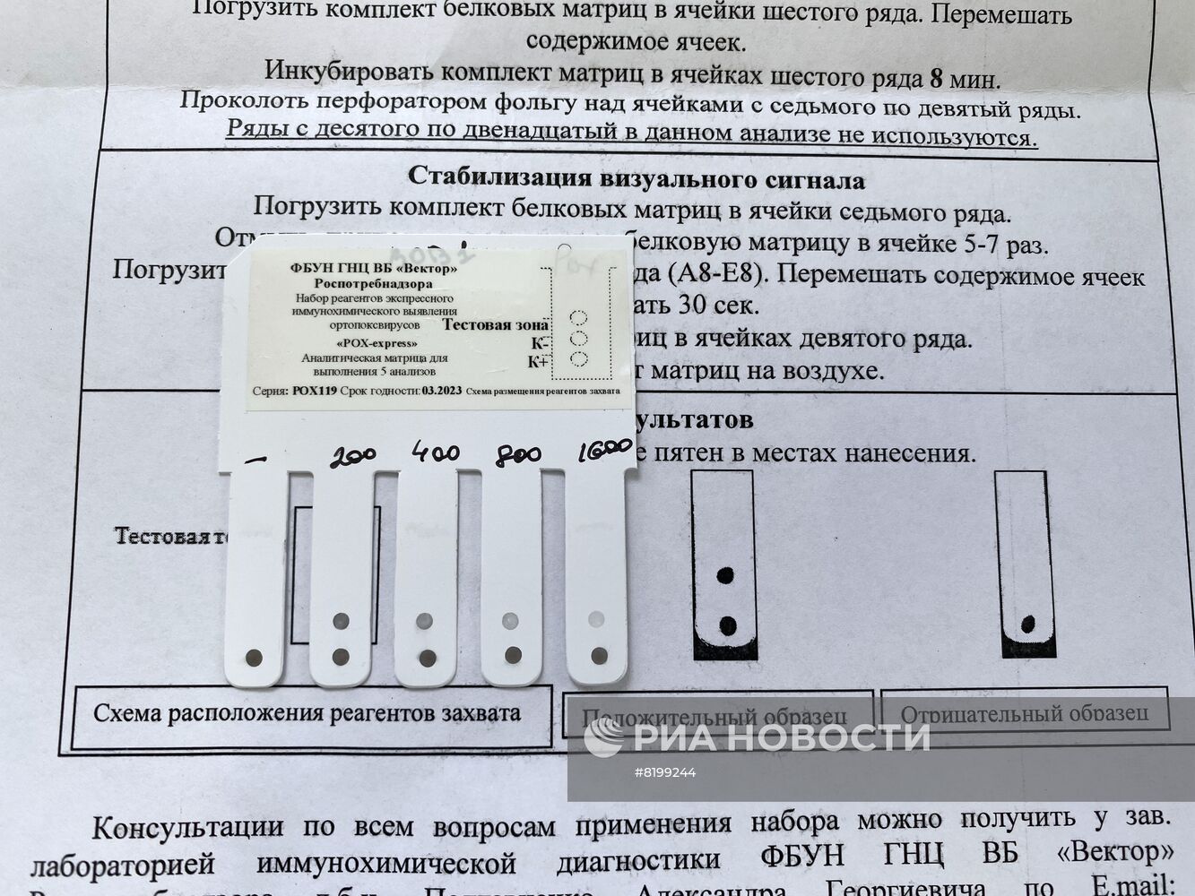 Научный центр "Вектор" создал тест-системы для выявления случаев заражения оспой обезьян