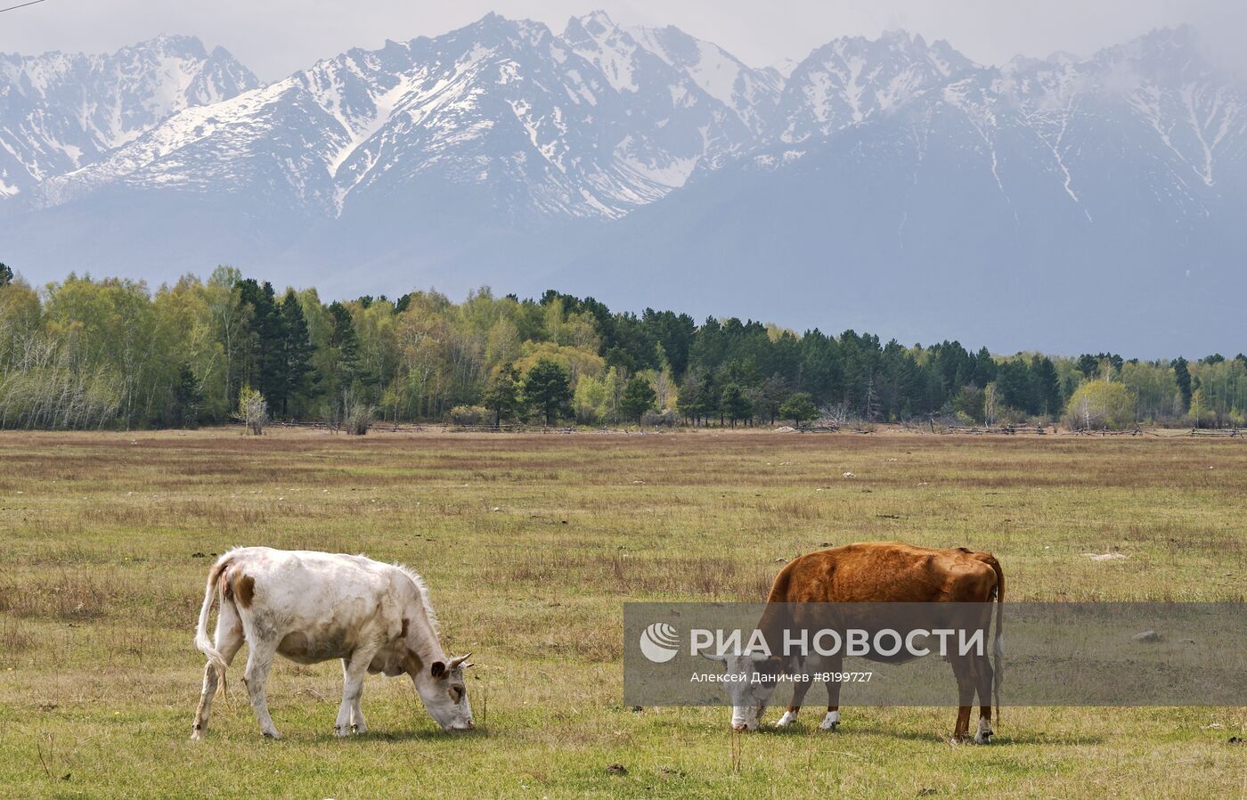 Регионы России. Бурятия