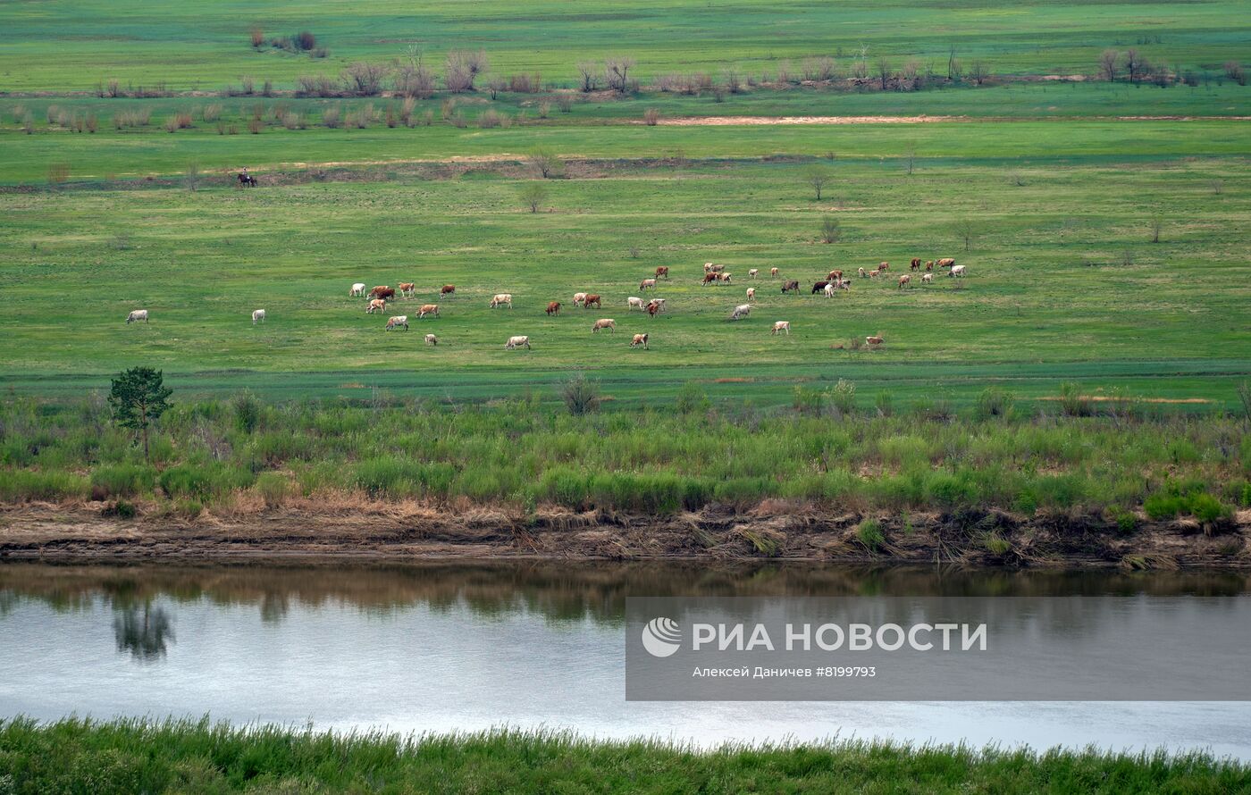 Регионы России. Бурятия