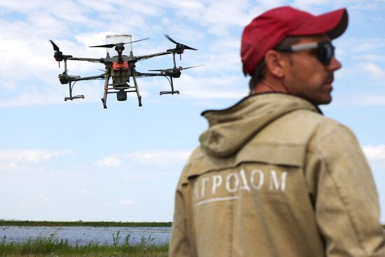 Сев риса при помощи дронов в Краснодарском крае