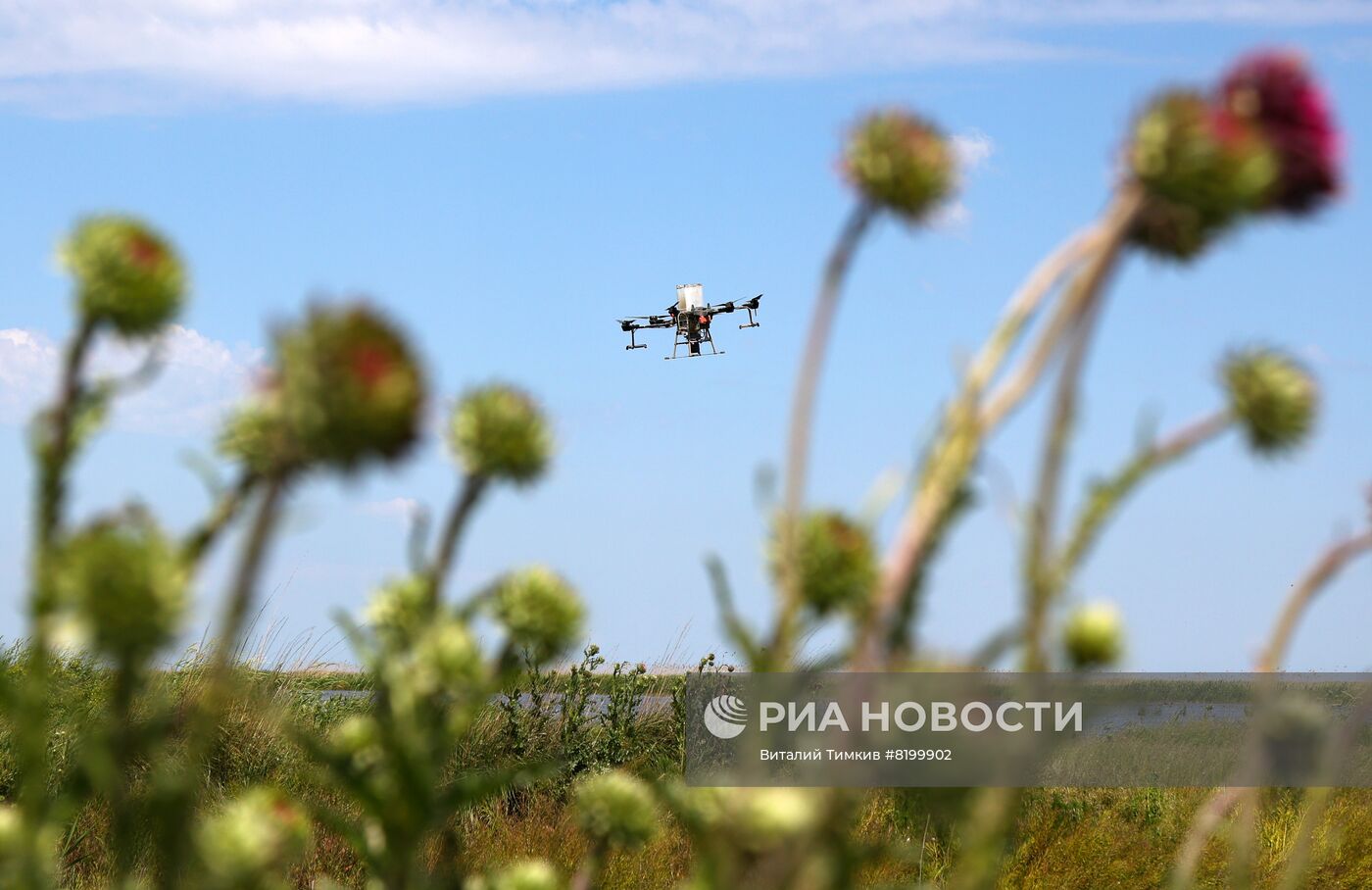 Сев риса при помощи дронов в Краснодарском крае