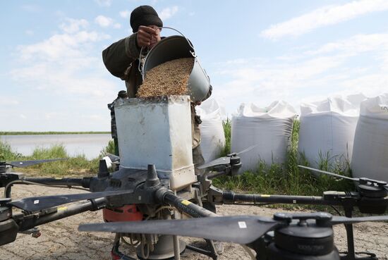 Сев риса при помощи дронов в Краснодарском крае