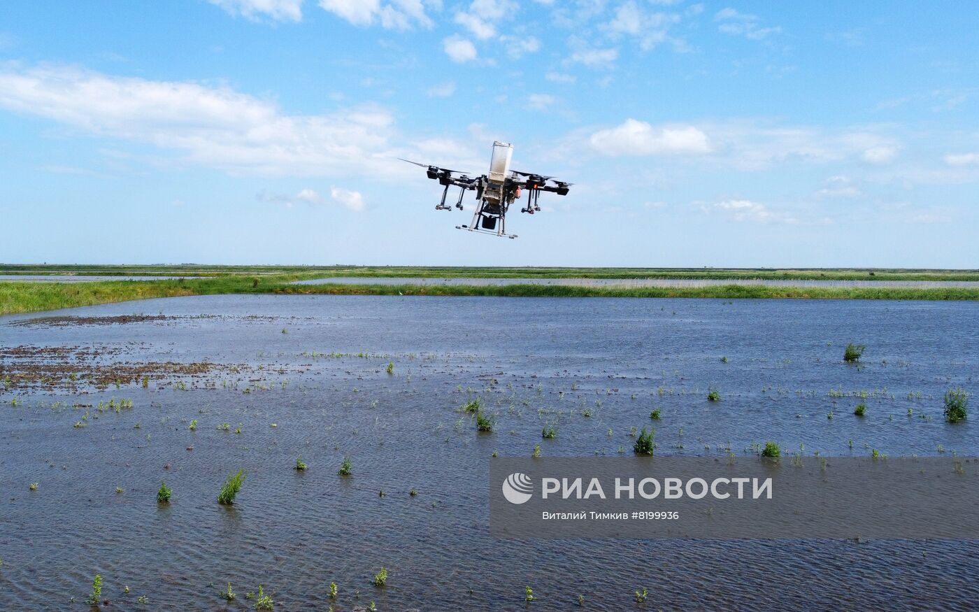 Сев риса при помощи дронов в Краснодарском крае