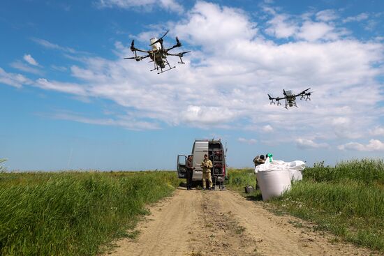 Сев риса при помощи дронов в Краснодарском крае