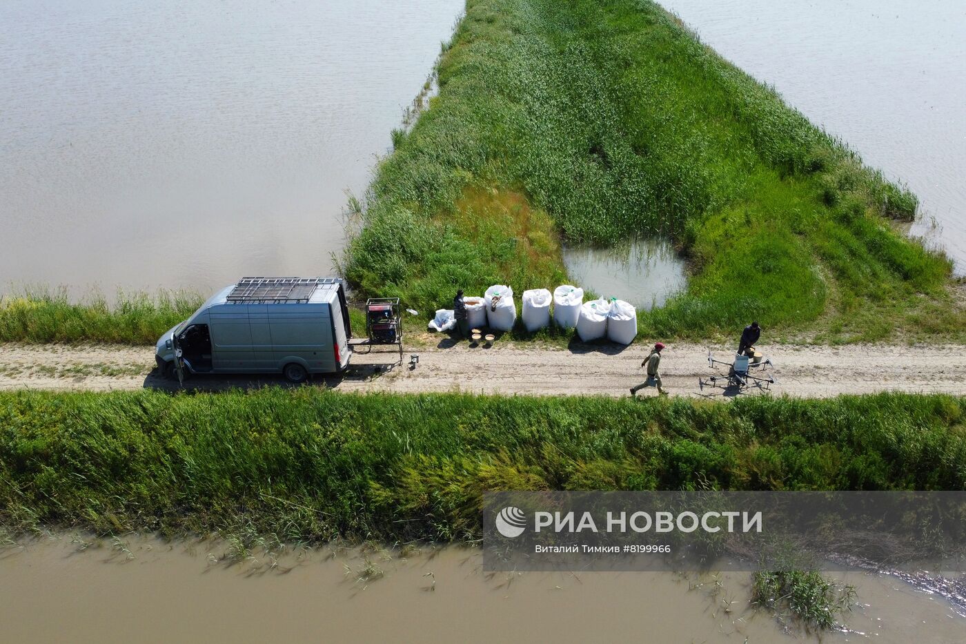 Сев риса при помощи дронов в Краснодарском крае